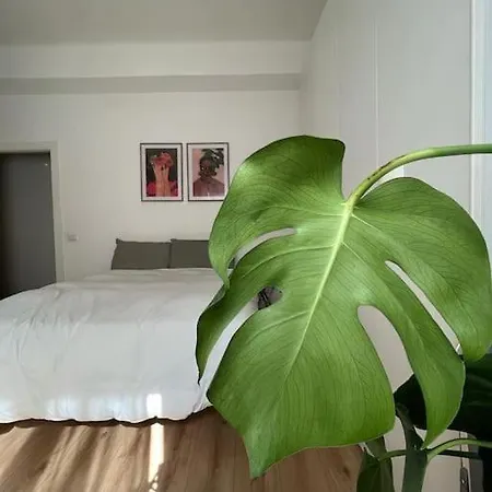 In-experience City Apartment *