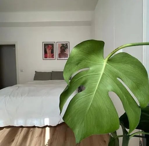 In-experience Apartmán *